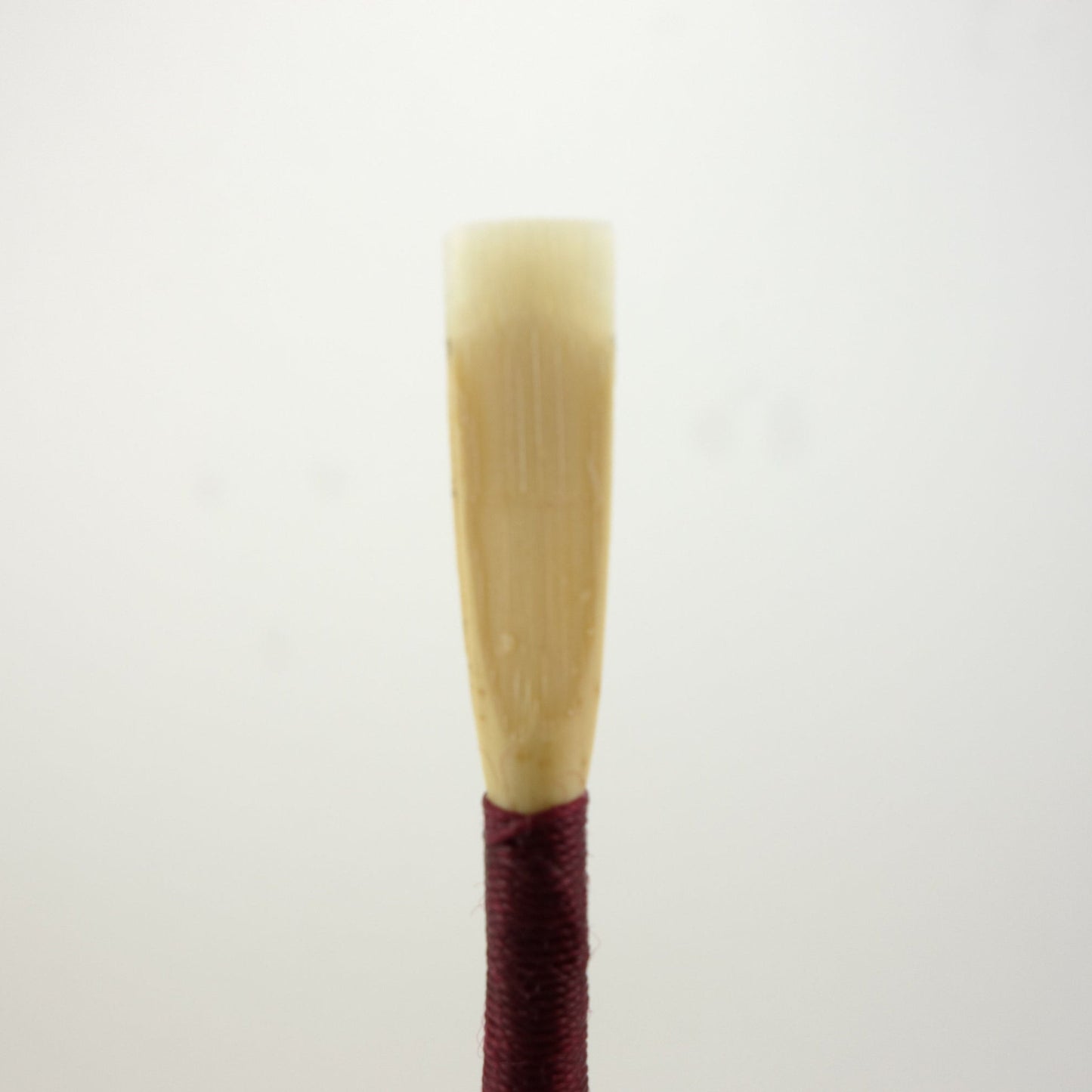 Professional Oboe Reed (1 Reed)