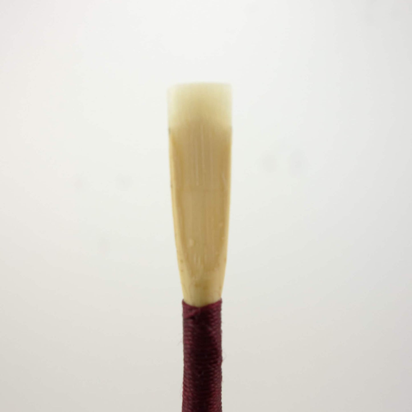 Beginner Oboe Reed (1 Reed)