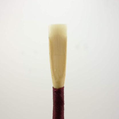 Beginner Oboe Reed (1 Reed)